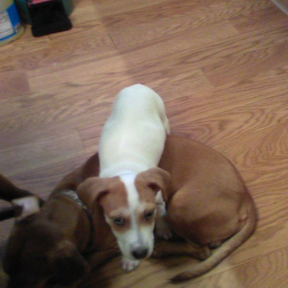 none - Picture 7 of 16